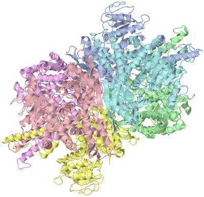 Image Biological Unit 1