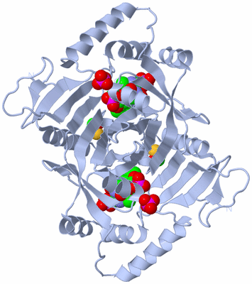 Image Biological Unit 1