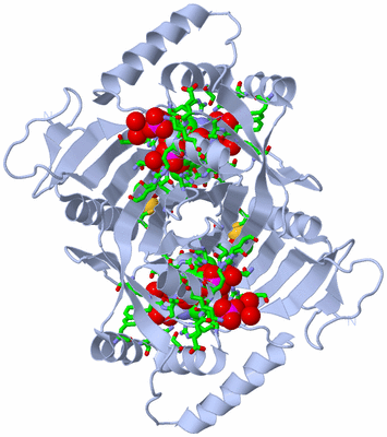 Image Biol. Unit 1 - sites