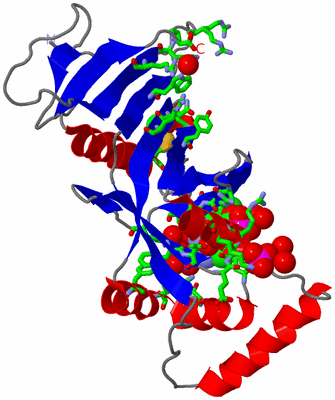 Image Asym. Unit - sites