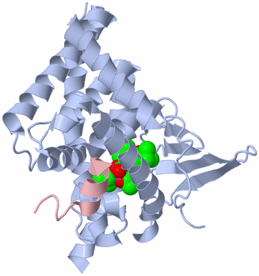 Image Biological Unit 1