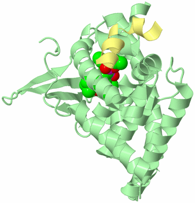 Image Biological Unit 2