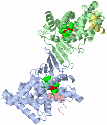 Image Biological Unit 3