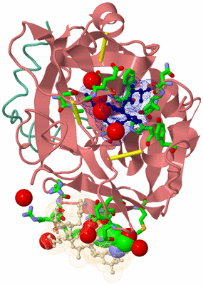 Image Asym./Biol. Unit - sites