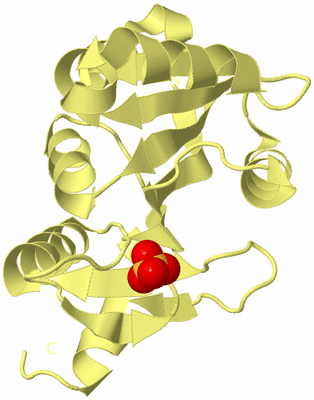 Image Biological Unit 4