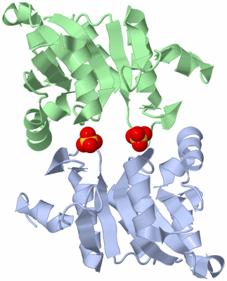 Image Biological Unit 5