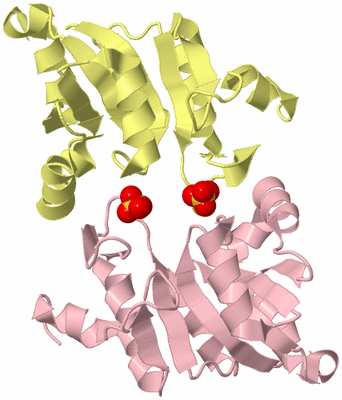 Image Biological Unit 6