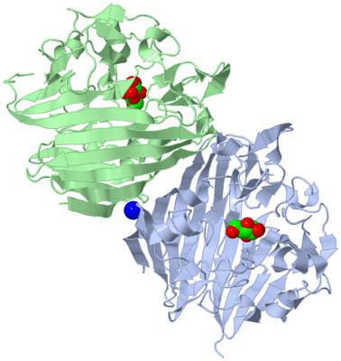 Image Asym./Biol. Unit