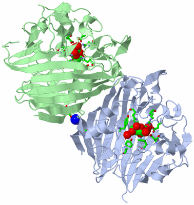 Image Asym./Biol. Unit - sites