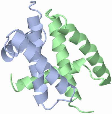 Image NMR Structure - model 1