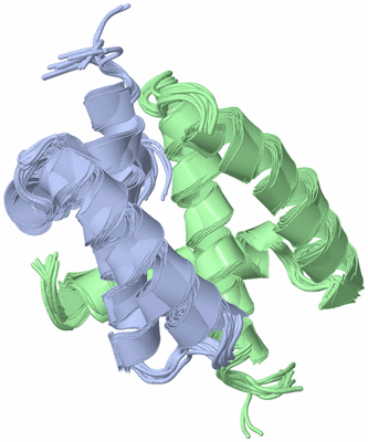 Image NMR Structure - all models