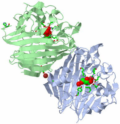 Image Asym./Biol. Unit - sites