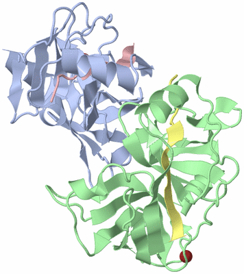 Image Biological Unit 1