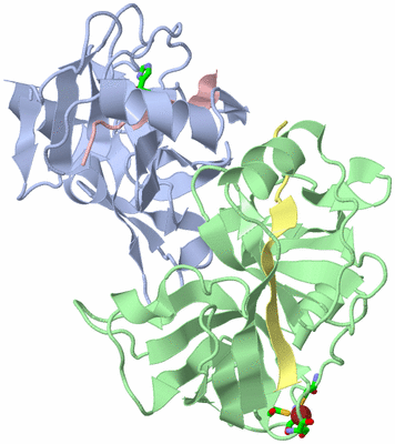 Image Biol. Unit 1 - sites