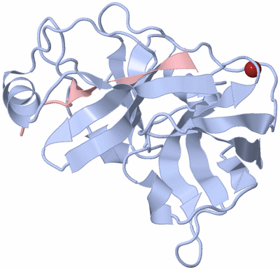 Image Biological Unit 3