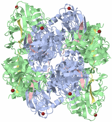 Image Biological Unit 4