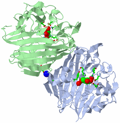 Image Asym./Biol. Unit - sites