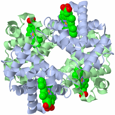 Image Biological Unit 1