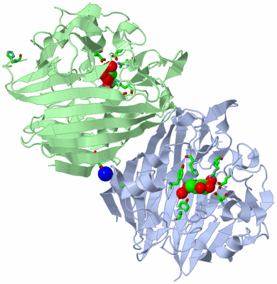 Image Asym./Biol. Unit - sites