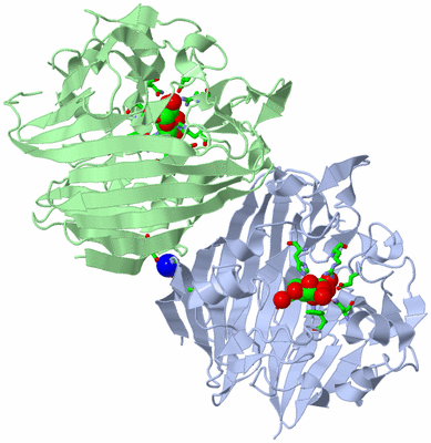 Image Asym./Biol. Unit - sites