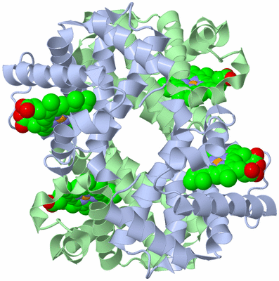 Image Biological Unit 1