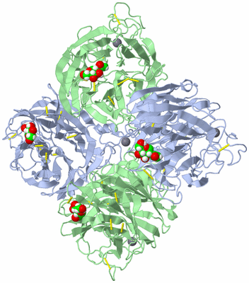 Image Biological Unit 1