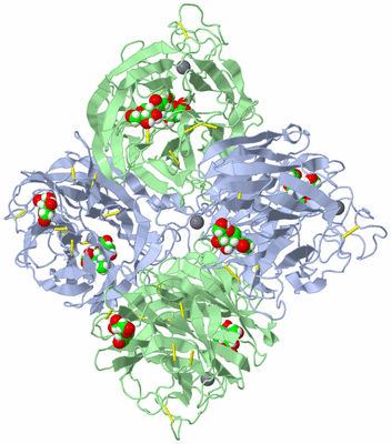 Image Biological Unit 1