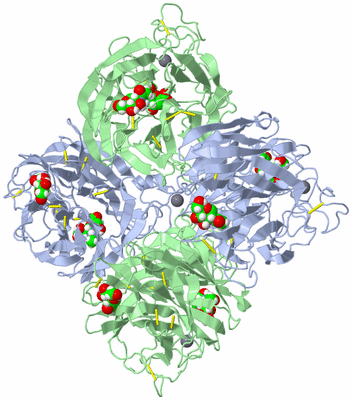 Image Biological Unit 1