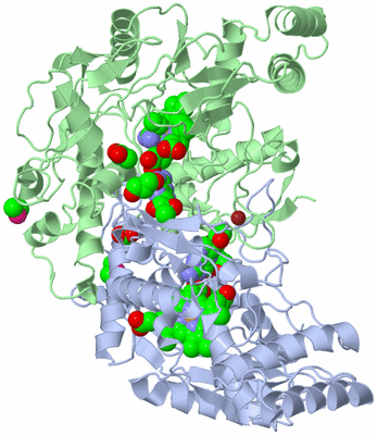 Image Asym./Biol. Unit