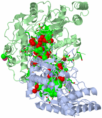 Image Asym./Biol. Unit - sites