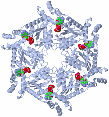 Image Biological Unit 1