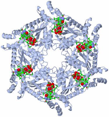 Image Biol. Unit 1 - sites