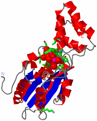 Image Asym. Unit - sites