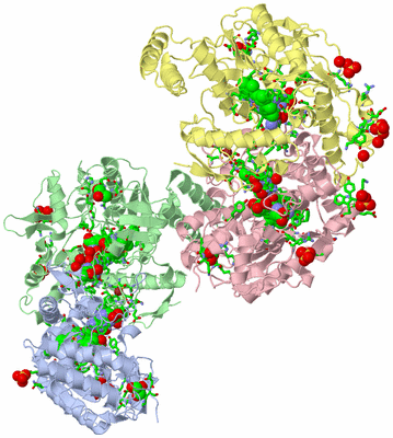 Image Asym./Biol. Unit - sites