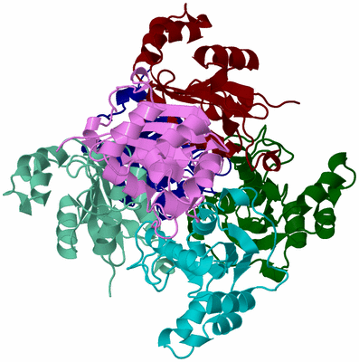 Image Asym./Biol. Unit