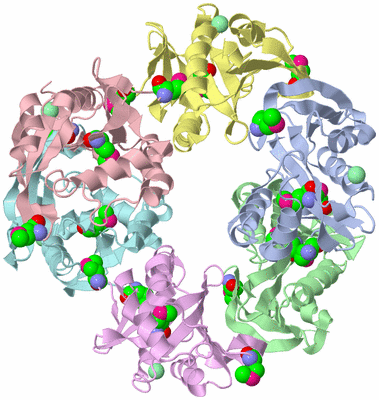 Image Asym./Biol. Unit