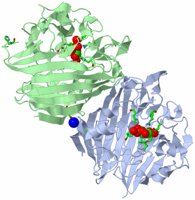 Image Asym./Biol. Unit - sites