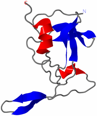 Image NMR Structure - model 1