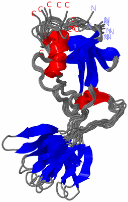 Image NMR Structure - all models
