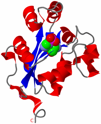 Image Asymmetric Unit