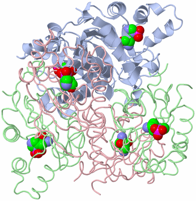 Image Biological Unit 1