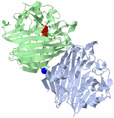 Image Asym./Biol. Unit - sites