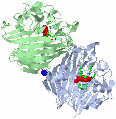 Image Asym./Biol. Unit - sites