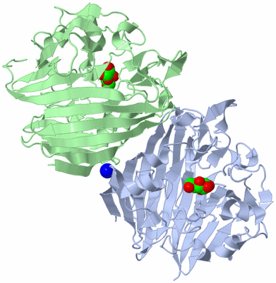 Image Asym./Biol. Unit