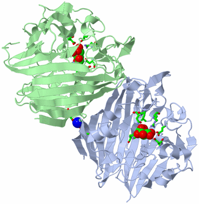 Image Asym./Biol. Unit - sites