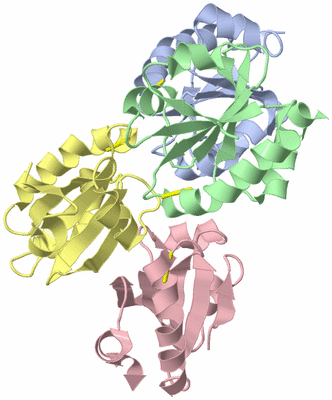 Image Asym./Biol. Unit