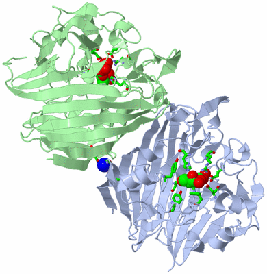 Image Asym./Biol. Unit - sites