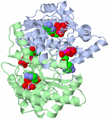 Image Asym./Biol. Unit