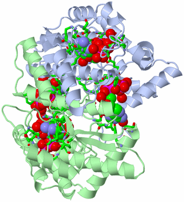 Image Asym./Biol. Unit - sites