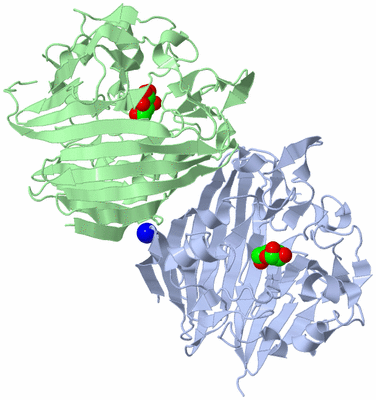 Image Asym./Biol. Unit